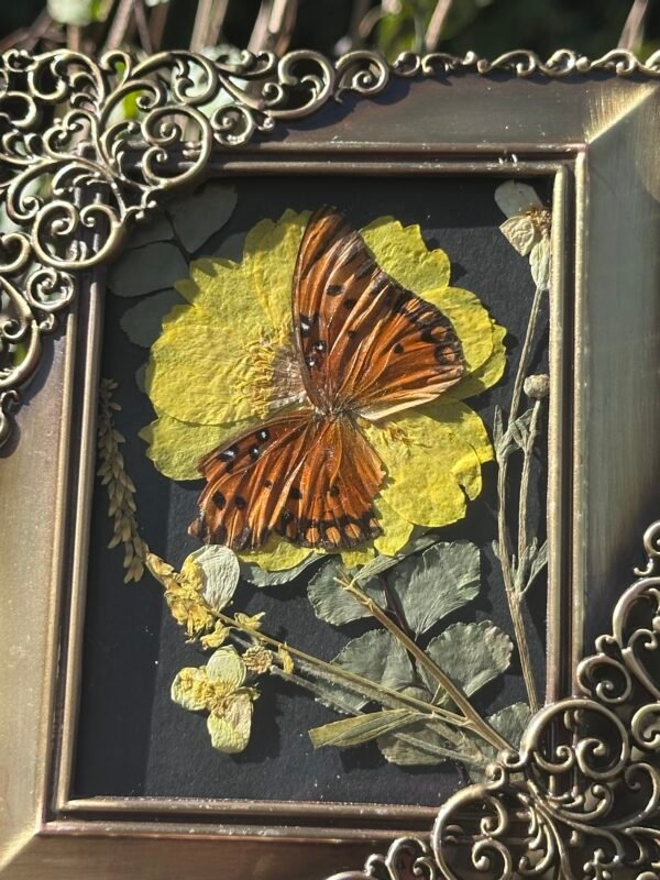 Monarch Butterfly Frame - Image 2