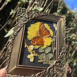 Monarch Butterfly Frame